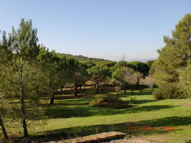 Puig Gros Montrás Exterior foto